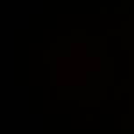 Morad Amin Profile Picture