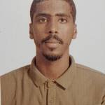 Mohamed nagi Hamody Profile Picture