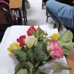 Reem Aldulami Profile Picture