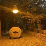 Ronza Salibe Profile Picture