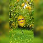 Fatma Reda Profile Picture