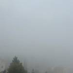 Sabaaaaaaassaassa profile picture